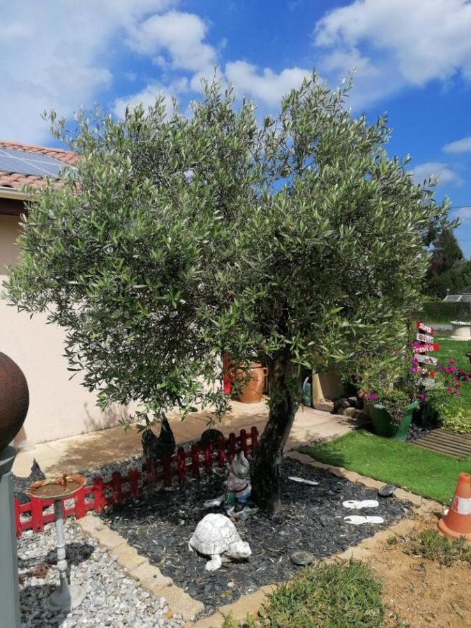 Bed and Breakfast La Roulotte Des Trois Arbres Oradour-sur-Glane Exterior foto