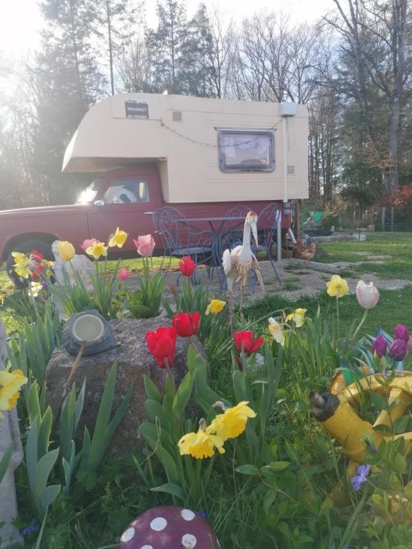 Bed and Breakfast La Roulotte Des Trois Arbres Oradour-sur-Glane Exterior foto